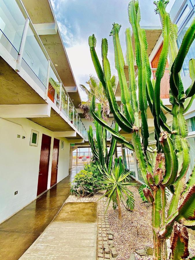 Hotel Puerto Chinchorro Arica Ngoại thất bức ảnh
